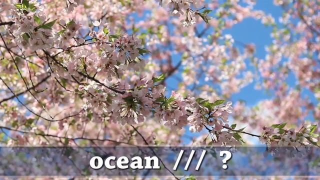 Урок 32. Природа. Упражнение 3 (2)