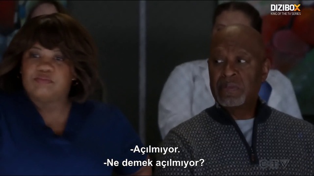 Greys1511