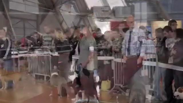 5b588f49d9902c6c6cb8d2af636450ce