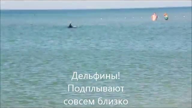 696136e1180468161181b7cc70db0998