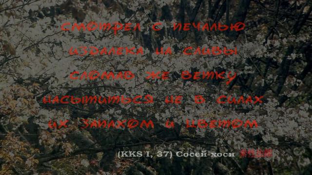 The Kokinshû.  Spring Poems. Part I, 37 The Monk Sosei - Simply At A Distance / Смотрел с печалью..