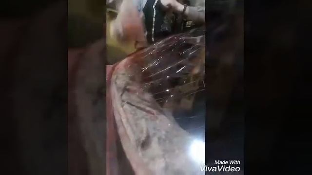 Домашний ремонтный гений в действии