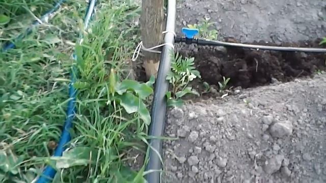 как собрать капельный полив