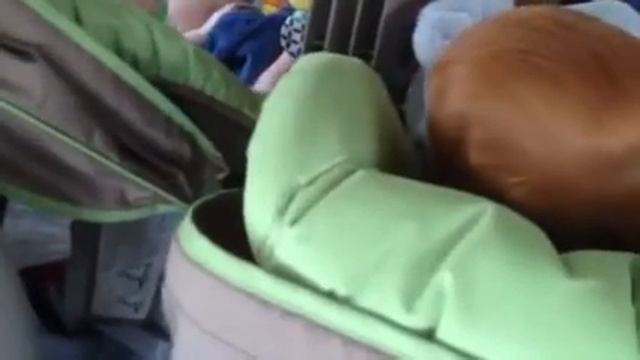 Giggles from the back seat