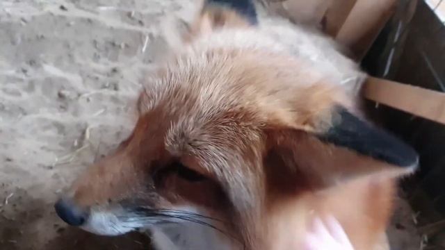 961f30f8a910d4fee8e955f685b3cca8