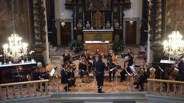 Georg Philipp Telemann: Konzert G-Dur Für Bratsche Und Streichorchester