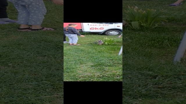 A5984b69e38c0de2258c1aca2d7c030f