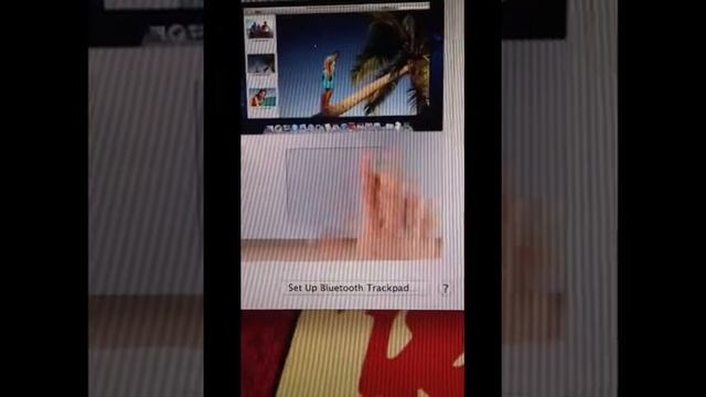 MacBook Air Trackpad