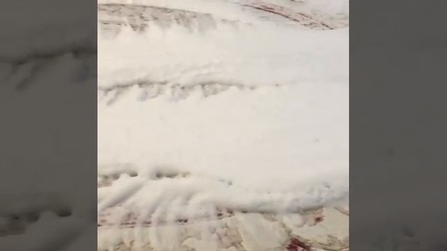 A65826da9990050e0e9e7608a6a79e87