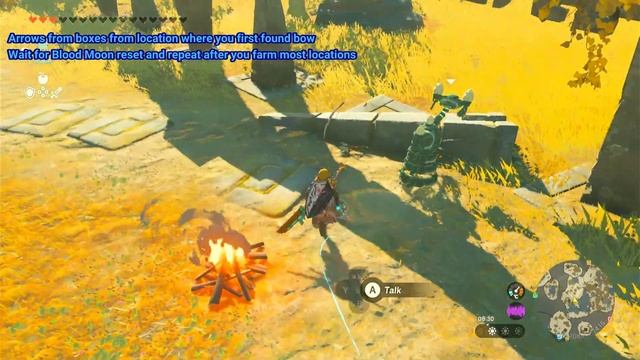 How to farm Arrows Zelda Tears of the Kingdom