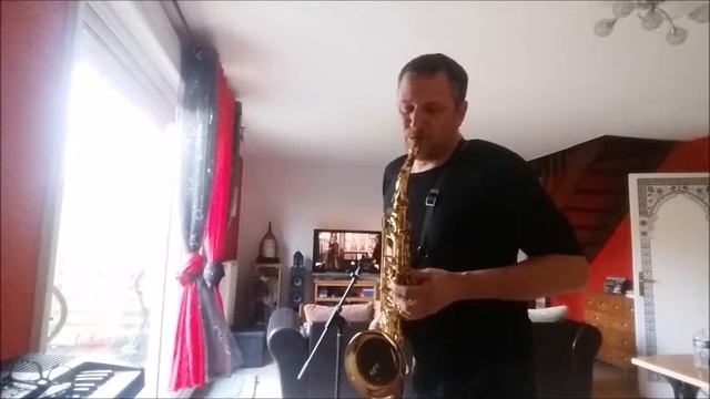 Je Suis Malade (sax Tenor Live)