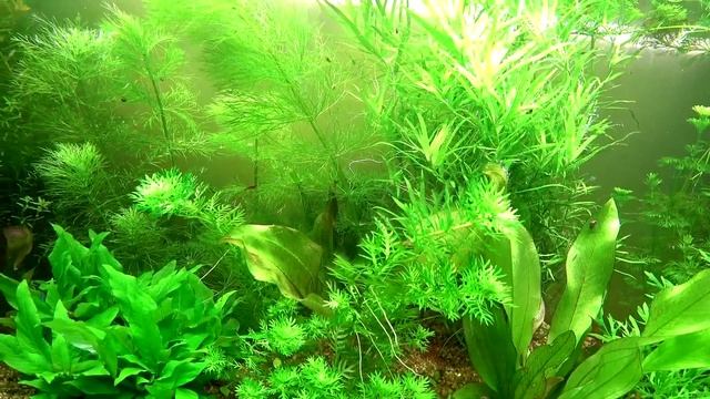 Ada9ff48a1fc8c9da58720456b121c56