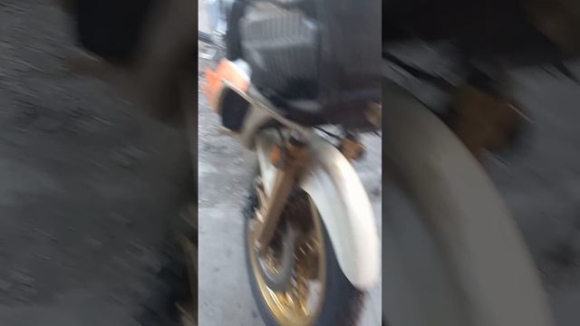 1982 HONDA CX500 TURBO MAY 3, 2023.