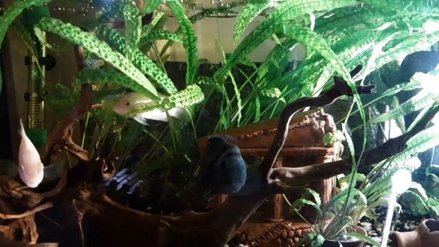 Работа над ошибками. Что не допускаем когда гадаем....