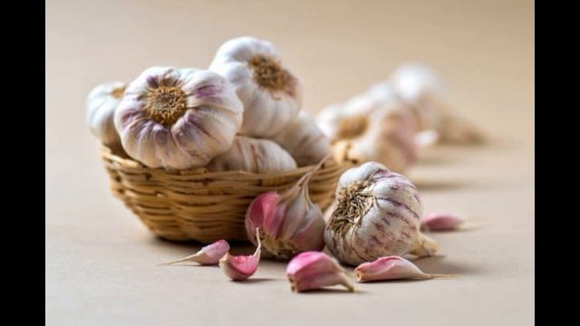 Целебный источник здоровья