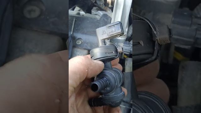 Вакуумный насос гудит.