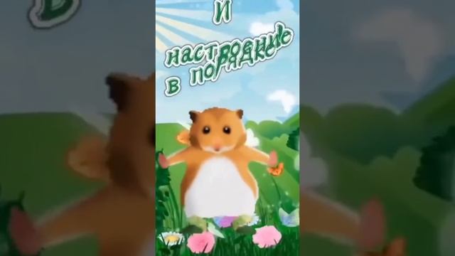 2 Шоколадки...