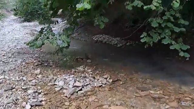 Пикник на природе. Вода и камни просто прелесть.