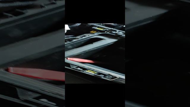 VID_20240525_125915.mp4