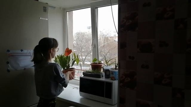 Наводим порядок на кухне / Мотивация на уборку кухни