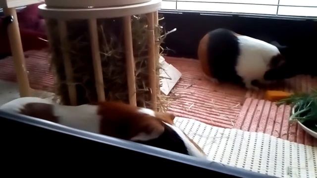 F59e5fbd7aeacddb1d7b0eda0b817f03