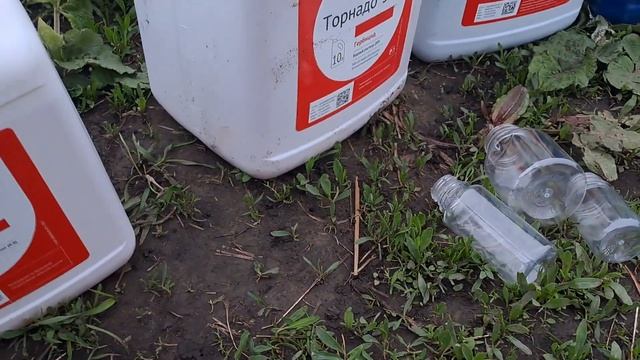 Почвенные гербициды для лука и чеснока