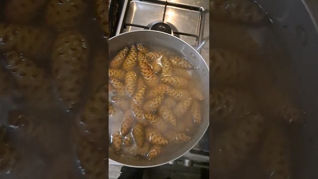 67bd8adb254d75bc2f55771a10a93aea