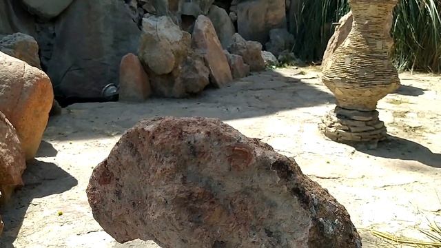 Кулинарный Компас