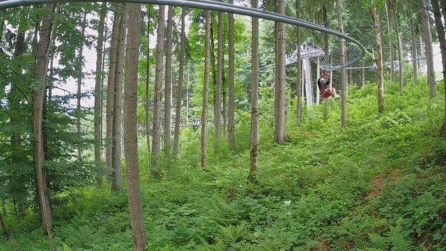 2021 07 22 55 Export