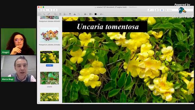 Sistema Immunitario con il Prof.Marco Biagi