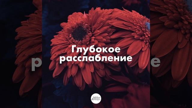 Восточные боевые исследования