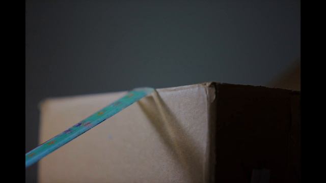 Your Magnetic Pull
