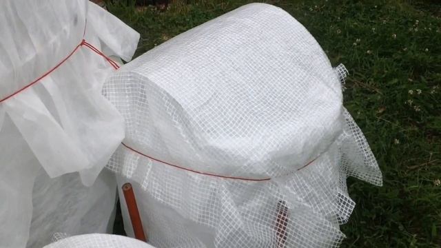 ЗИМНИЕ УКРЫТИЯ своими руками. АКАДЕМИЯ САДОВОДА-МЕШОЧНИКА. Встреча N21. WINTER SHELTERS For Plants.