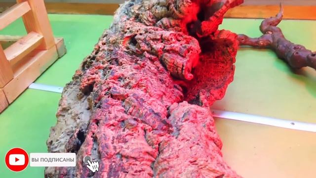 Милана посетила Контактный ЗооПАРК где живут милые зверята!