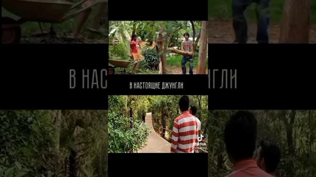 4 октября 2023 г.