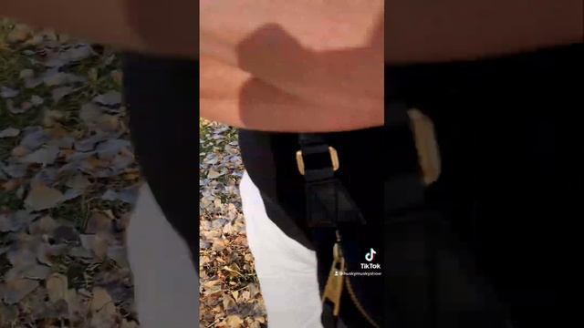 Хоррор?Страшные Сказки Гуси-Лебеди от Луняши Хвски?Luna Husky?New Funny Episode