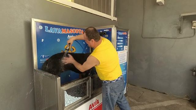 Баня для СОБАК в Испании. Теперь Я видел ВСЁ !!!