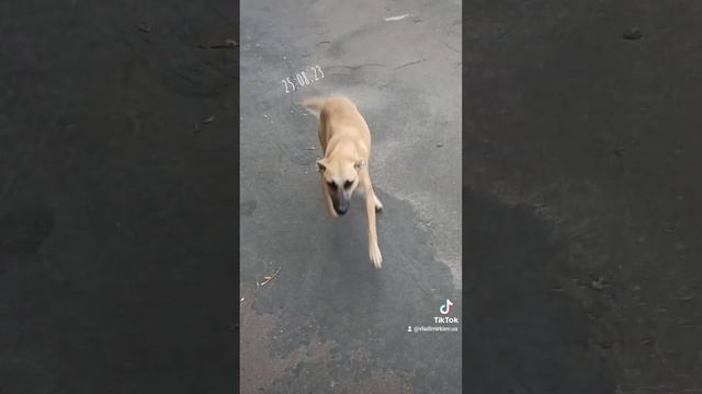 D5e26ce521b283fae36e915244b421b3