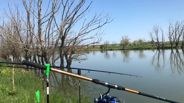 Рыбалка в Краснодарском крае. Ловля карпа.Ловили с сыном и получили море удовольствия!