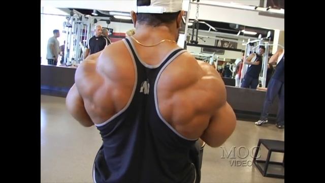 Roelly Winklaar - UPPER BODY - Battle For The Olympia 2013