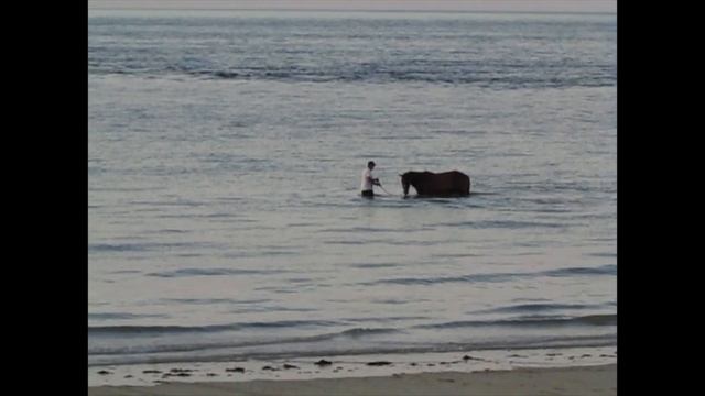 386c33ff086478617801bfd4b291797e