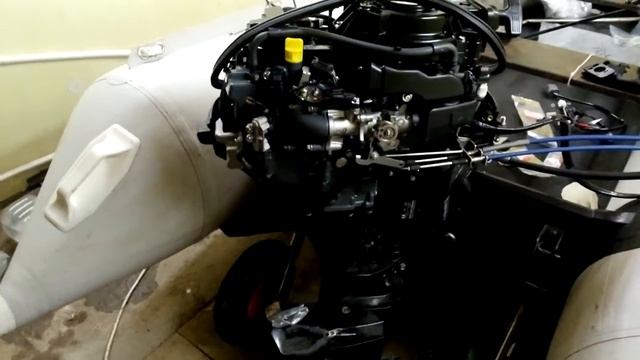 Катание на сапбордах