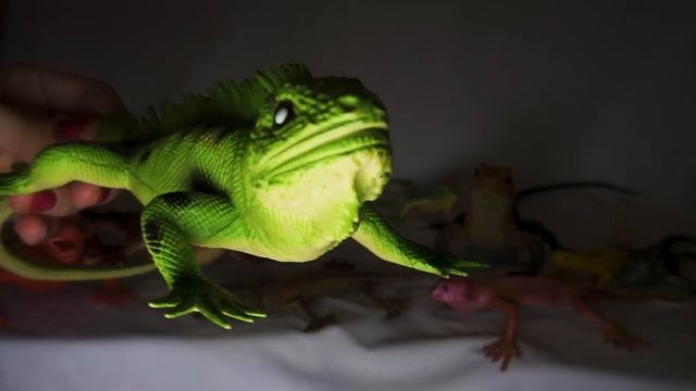 Коллекция ящериц, резиновые игрушки, корзина игрушек