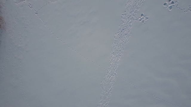 Fd825330af3aa5f404b513c5dc12dcf4