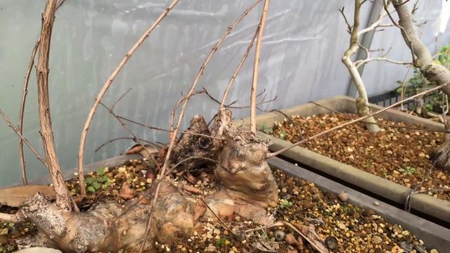 263c3d82f3043cd6d494a12b12db0bc1