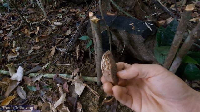 30 Ngày Thử Thách Sinh Tồn Trong Rừng | Ngày 17 | 30 Days Survival Challenge In The Jungle