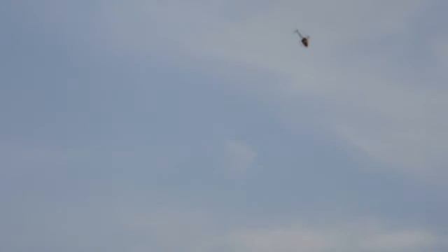 RC Helicopter ALIGN  T-Rex 500 Pro / радиоуправляемый вертолет