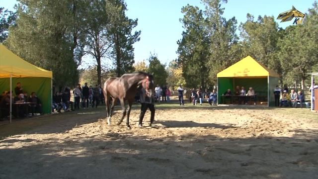 959a8061cee8402a434d3ca103b29757