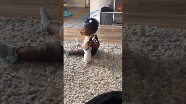 When A Baby And A Puppy Meet ??❤️ #blackbabygoals