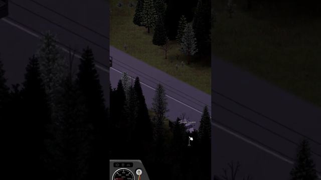 Момент со стрима по игре Project Zomboid - На перегонки